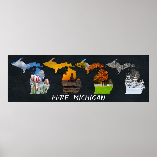 Poster Oeuvre artistique Pure Michigan Seasons (Devant)