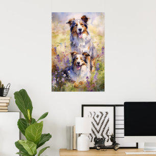 Poster OEuvre colorée d'aquarelle Australian Shepherd