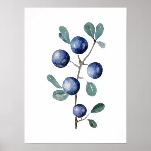 Poster Oeuvre d'aquarelle aux fruits bleus (Devant)