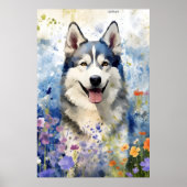 Poster OEuvre d'aquarelle colorée Husky (Devant)
