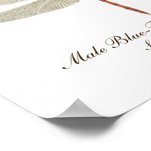 Poster OEuvre d'art à facettes bleues de la Mouette (Coin)