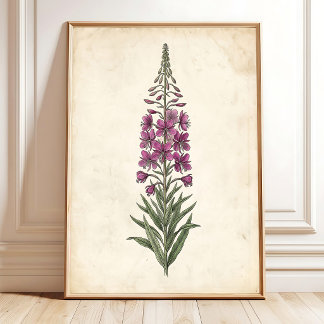 Poster Œuvre d'art botanique pour maison de ferme - Épilo