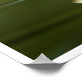 Poster Œuvre d'art de la foulque d'Amérique | Reflet d'oi (Coin)