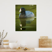 Poster Œuvre d'art de la foulque d'Amérique | Reflet d'oi (Cuisine)