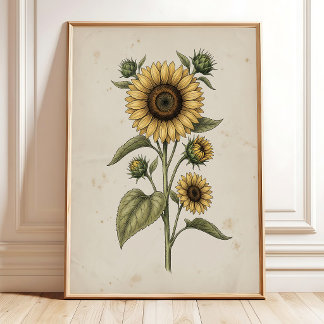 Poster Œuvre d'art murale de ferme vintage tournesol