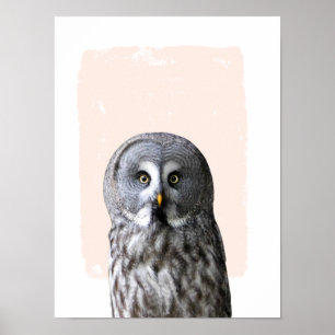 Poster Oeuvre d'art murale de nurserie de hibou portrait 