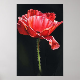 Poster Œuvre d'art murale. Fleur dans les ténèbres