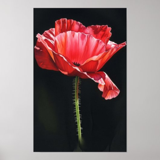 Poster Œuvre d'art murale. Fleur dans les ténèbres (Devant)