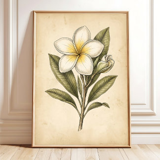 Poster Œuvre d'art murale florale de plumeria vintage