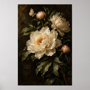Poster Œuvre d'art murale florale sombre Pivoine Ivoire V