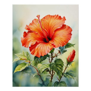 Poster Œuvre d'art murale florale tropicale à l'hibiscus