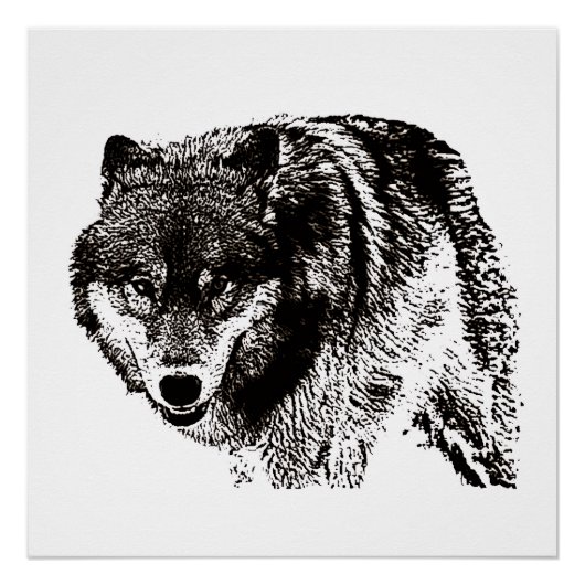 Poster Oeuvre d'art noir et blanc Wild Wolf (Devant)