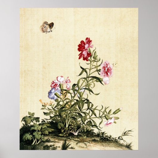 Poster Oeuvre d'art vintage de chinoiserie avec oeillets (Devant)
