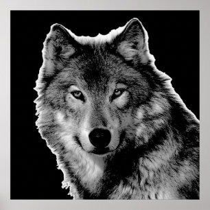 Poster Oeuvre de Loup noir et blanc
