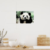 Poster Oeuvre de Panda (Cuisine)