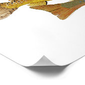 Poster Oeuvre de truite la plus populaire (Coin)