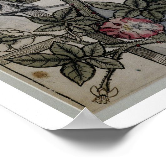 Poster OEuvre originale pour la conception de papier pein (Coin)