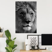 Poster Oeuvre photographique Lion noir et blanc (Bureau à domicile)