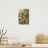 Poster Oeuvres d'Upupa par Johann Friedrich Naumann (Cuisine)