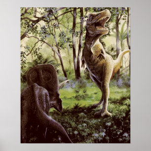 Poster of afdrukken