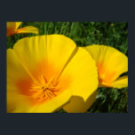 Poster OFFICE ART POPPIES Fleurs de pavot 4 Imprimantes d<br><div class="desc">POPPIES, FLEURS DE POPPY, OEuvres d'art, Cadeaux d'entreprise, Cadeaux d'entreprise, OEuvres professionnelles, Poppies orange fleurissant sur la prairie à flanc de colline. Paysage Fleur d'été. IMPRIMANTES D'ART POSTER, ARTISANAT CANVAS, ARTISANAT CADRE, POSTES. OBTENIR UN CADEAU ? COMBINEZ plusieurs produits. Cartes de voeux, Timbres, Timbres, Cartes postales, Sacs fourre-tout, Tabliers, Mousepads,...</div>