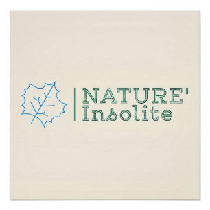 Poster: officieel logo van de uitgifte perfect poster