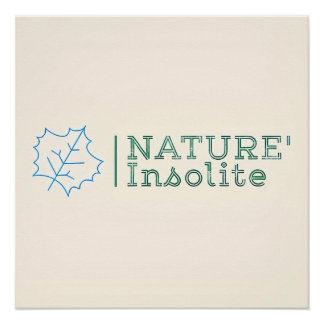 Poster: officieel logo van de uitgifte perfect poster