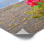 Poster Offre à Pele, déesse du volcan hawaïen (Coin)