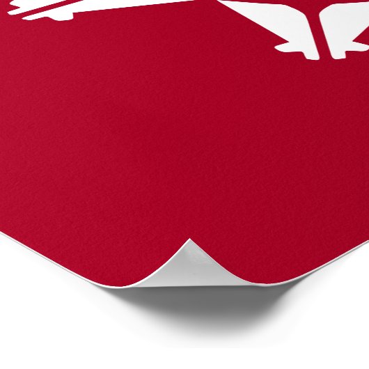 Poster Oglala Sioux (Coin)