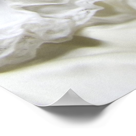 Poster Oh Dolly (Coin)