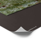 Poster Oh... pour le saké renard (Coin)