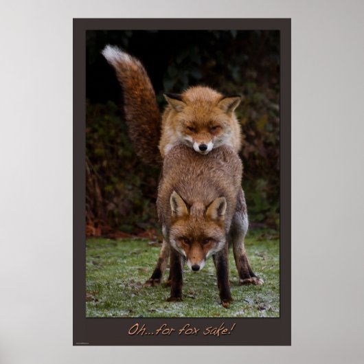 Poster Oh... pour le saké renard (Devant)