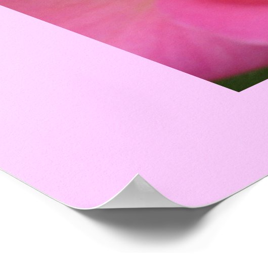 Poster oh, si rose ! (Coin)