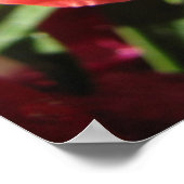 Poster Oh, Snap ! Dragon (Coin)