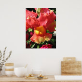 Poster Oh, Snap ! Dragon (Cuisine)