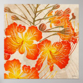 Poster Ohai Alii 2 (Devant)