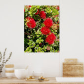 Poster Ohia Lehua (Cuisine)