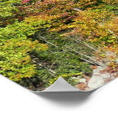 Poster Ohiopyle River à l'automne I Pennsylvanie Automne (Coin)