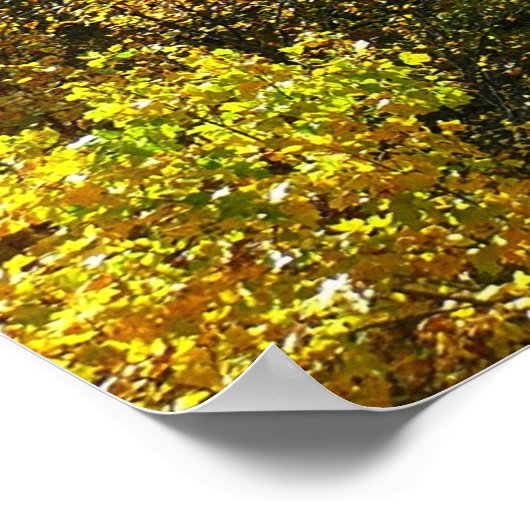 Poster Ohiopyle River à l'automne II Pennsylvanie Automne (Coin)