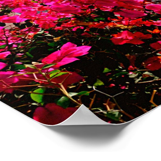 Poster Oia Santorini, Grèce Photographie (Coin)