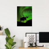 Poster Oie à aurore verte boréale, Alaska (Bureau à domicile)