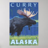 Poster Oie à la nuit - Curry, Alaska (Devant)