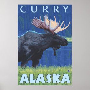 Poster Oie à la nuit - Curry, Alaska