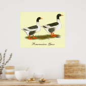 Poster Oie à selle gris (Cuisine)