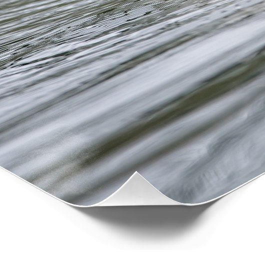 Poster Oie canadienne (Coin)