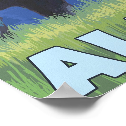 Poster Oie de nuit - Cordova, Alaska (Coin)