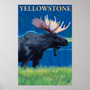 Poster Oie de nuit - Parc national de Yellowstone