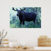 Poster Oie de pleine taille (Cuisine)