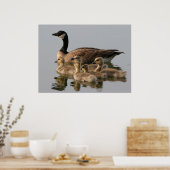 Poster Oie d'Oie canadienne (Cuisine)