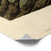 Poster Oie du Canada des oiseaux d'Amérique d'Audubon (Coin)